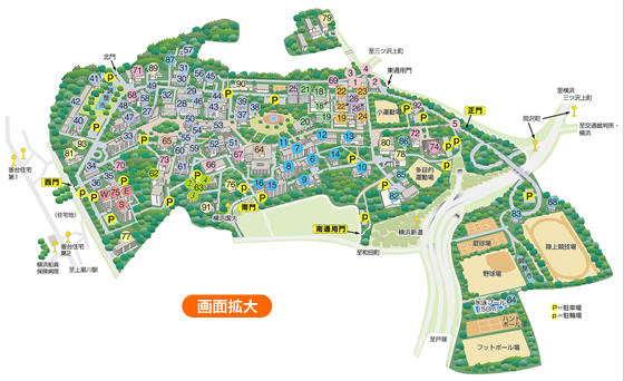 大学周辺地図